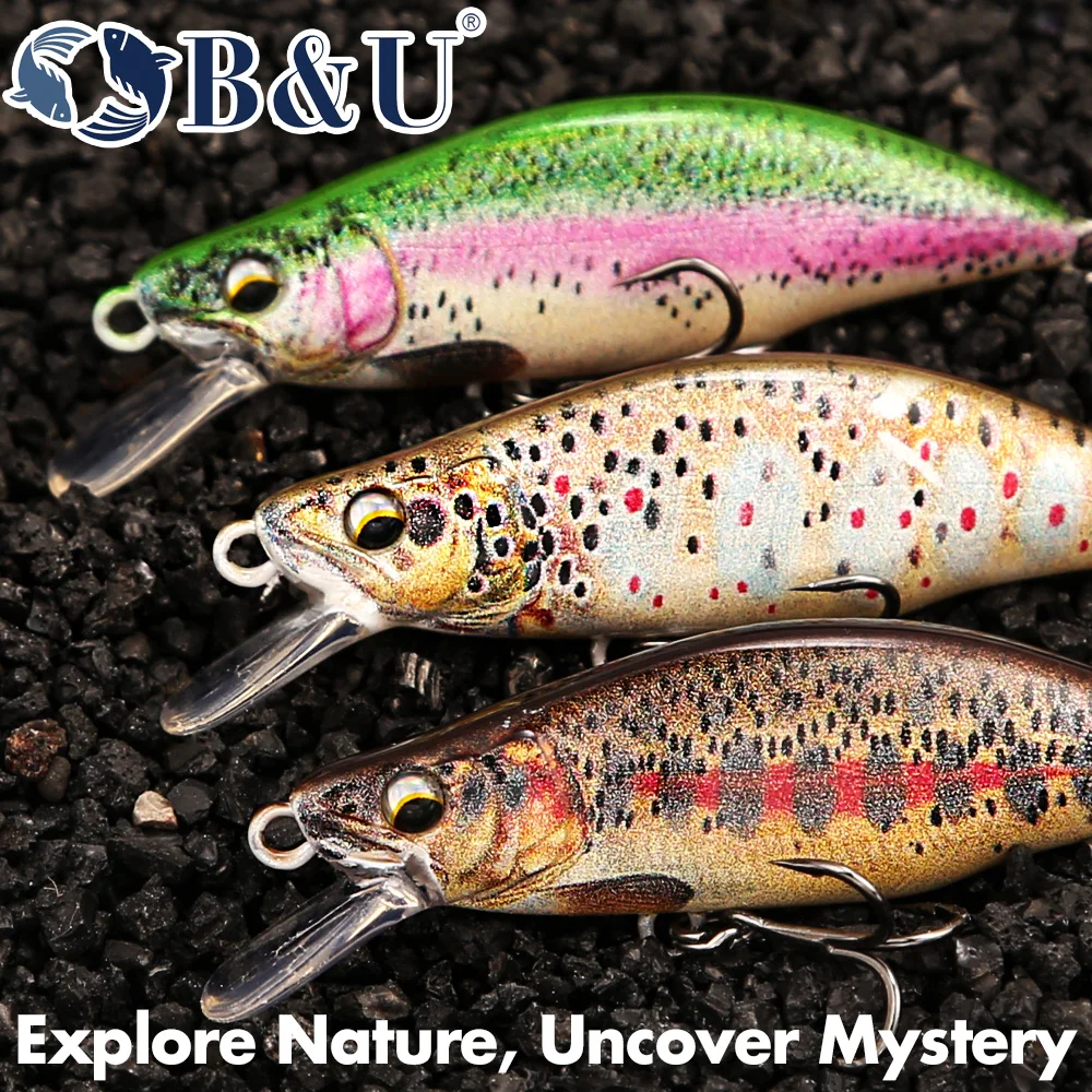 B&U Trout Pattern Hard Bait Si - Fishing Hook Assortment review and price